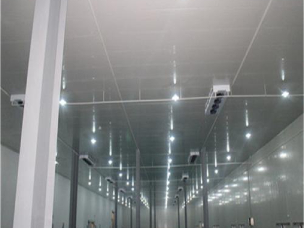 建造安裝食品低溫冷藏庫有哪些因素影響造價？